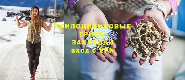прущий лед Алексин