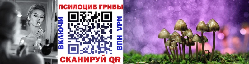 Псилоцибиновые грибы прущие грибы мега ссылка площадка официальный сайт Бирск